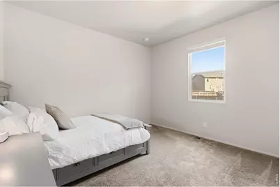 902 Pierson Ct, Windsor, CO 80550 - Photo 29