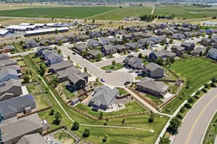 902 Pierson Ct, Windsor, CO 80550 - Photo 5