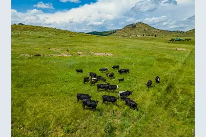 11881 W County Road 74E, Livermore, CO 80536 - Photo 41