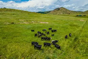 11881 W County Rd 74e, Livermore, CO 80536 - Photo 41