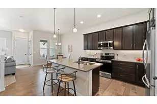 6226 Vernazza Way, Windsor, CO 80550 - Photo 3