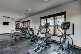 6226 Vernazza Way, Windsor, CO 80550 - Photo 23