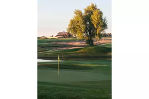 6226 Vernazza Way, Windsor, CO 80550 - Photo 29