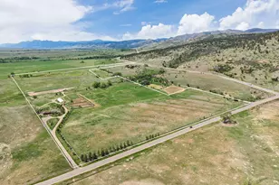 4640 Hygiene Rd, Longmont, CO 80503 - Photo 29