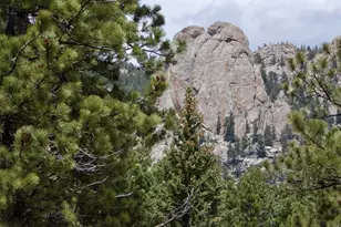 680 Findley Ct, Estes Park, CO 80517 - Photo 9