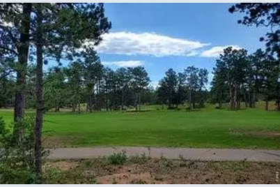 3021 Lake Arapahoe Ct, Red Feather Lakes, CO 80545 - Photo 7