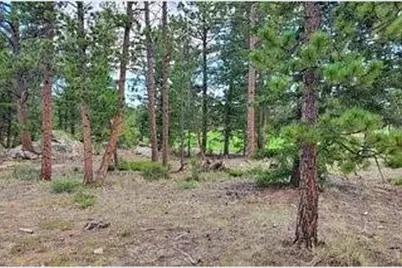 3031 Lake Arapahoe Ct, Red Feather Lakes, CO 80545 - Photo 11