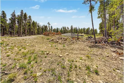 52 Meadowlake Dr, Black Hawk, CO 80422 - Photo 29