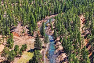 16687 Ouray Rd W, Pine, CO 80470 - Photo 31