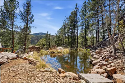 16687 Ouray Rd W, Pine, CO 80470 - Photo 21