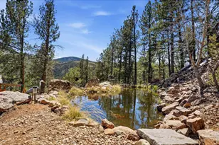 16687 Ouray Rd W, Pine, CO 80470 - Photo 21