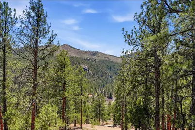 16687 Ouray Rd W, Pine, CO 80470 - Photo 5