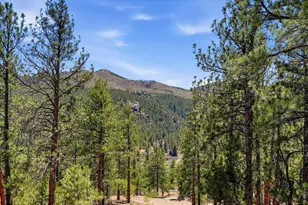16687 Ouray Rd W, Pine, CO 80470 - Photo 5