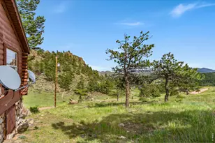 39 Mt Sherman Ct, Livermore, CO 80536 - Photo 31