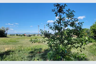 8042 Silver Birch Blvd, Frederick, CO 80504 - Photo 37