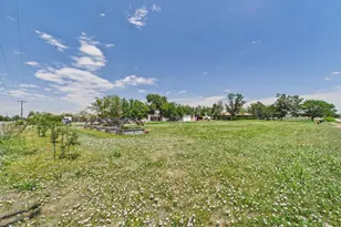 8042 Silver Birch Blvd, Frederick, CO 80504 - Photo 35