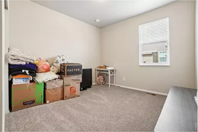 3622 Torch Lily St, Wellington, CO 80549 - Photo 21