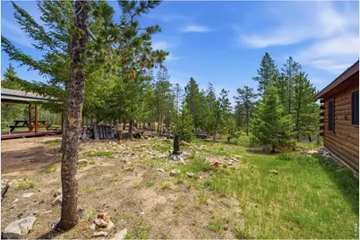 132 Tonkawa Dr, Red Feather Lakes, CO 80545 - Photo 31