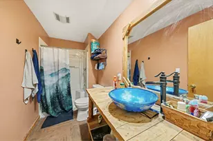 319 Springmeadow Way, Red Feather Lakes, CO 80545 - Photo 19