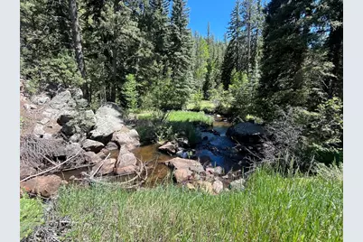257 Lo Meadow Ln, Bailey, CO 80421 - Photo 49