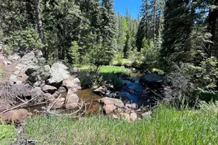 257 Lo Meadow Ln, Bailey, CO 80421 - Photo 49