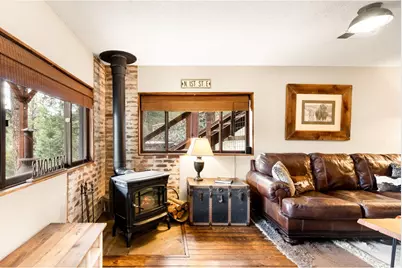 257 Lo Meadow Ln, Bailey, CO 80421 - Photo 9