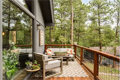 257 Lo Meadow Ln, Bailey, CO 80421 - Photo 37