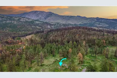 179 Green Ridge Rd, Drake, CO 80515 - Photo 1