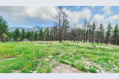 179 Green Ridge Rd, Drake, CO 80515 - Photo 7