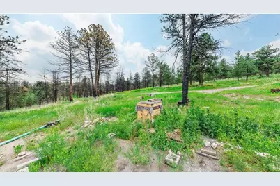 179 Green Ridge Rd, Drake, CO 80515 - Photo 9