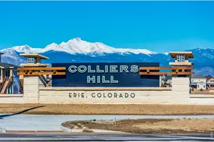 257 Horizon Ave, Erie, CO 80516 - Photo 41