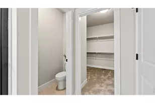 6224 Vernazza Way, Windsor, CO 80550 - Photo 11