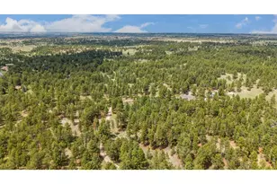 10231 Democrat Rd, Parker, CO 80134 - Photo 49