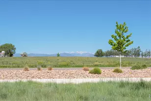 4693 Mountain Sky Ct, Johnstown, CO 80534 - Photo 3