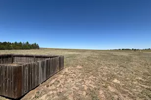 2504 Haskell Pl, Watkins, CO 80137 - Photo 21