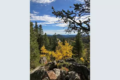1199 Brainard Lake Rd, Ward, CO 80481 - Photo 19