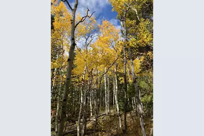 1199 Brainard Lake Rd, Ward, CO 80481 - Photo 21