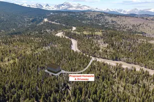 1199 Brainard Lake Rd, Ward, CO 80481 - Photo 1