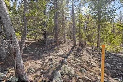 1199 Brainard Lake Rd, Ward, CO 80481 - Photo 9