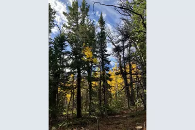 1199 Brainard Lake Rd, Ward, CO 80481 - Photo 17