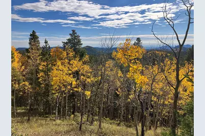 1199 Brainard Lake Rd, Ward, CO 80481 - Photo 23