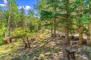 21692 S St Vrain Dr, Lyons, CO 80540 - Photo 5