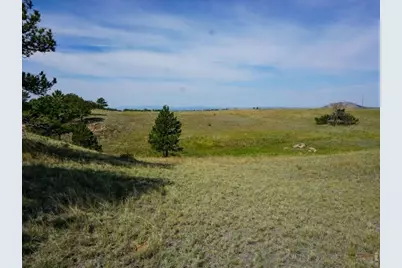 0 Stub Ct, Livermore, CO 80536 - Photo 3