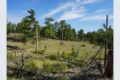 0 Stub Ct, Livermore, CO 80536 - Photo 7