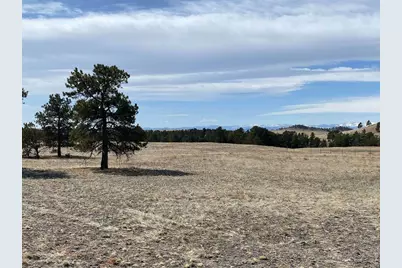 0 Stub Ct, Livermore, CO 80536 - Photo 21