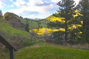 7267 Olde Stage Rd, Boulder, CO 80302 - Photo 43