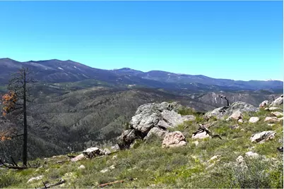 1989 Spencer Mountain Rd, Bellvue, CO 80512 - Photo 15
