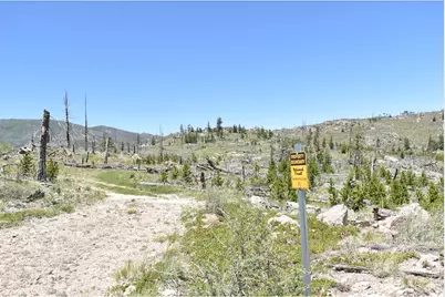 1989 Spencer Mountain Rd, Bellvue, CO 80512 - Photo 33