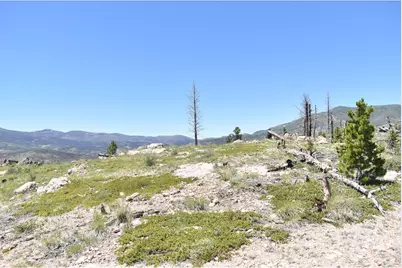 1989 Spencer Mountain Rd, Bellvue, CO 80512 - Photo 35