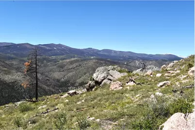 1989 Spencer Mountain Rd, Bellvue, CO 80512 - Photo 23